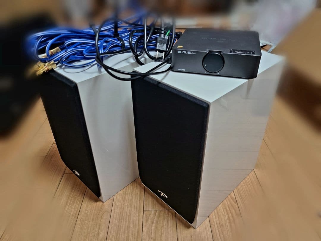 スピーカー・ウーファー Paradigm Monitor SE & S.M.S.L A100 スピーカー・ウーファー Paradigm Monitor SE & S.M.S.L A100