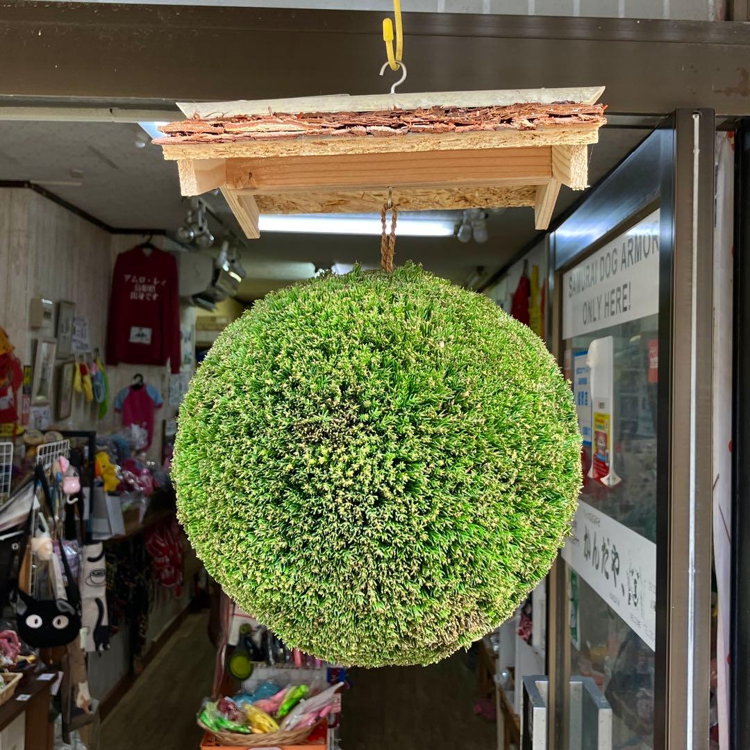 杉玉【屋根付き】① - メルカリ