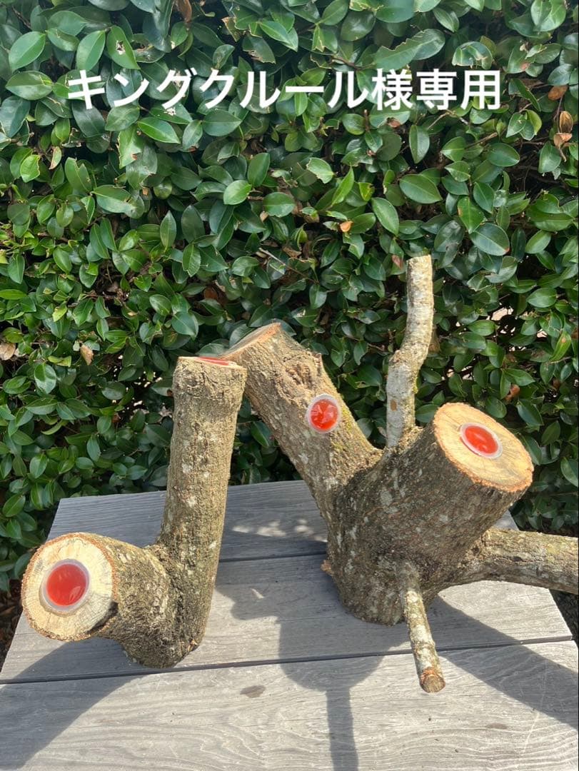 キングクルール様オーダー品　クヌギ　エサ皿 高塚和則 木工房玄 オーバル皿 くるみ｜作家もののうつわ通販 四季折折