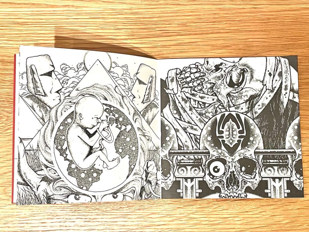 希少】PUSHEAD パスヘッド 画集 Bacteria Sour サイン入 - メルカリ