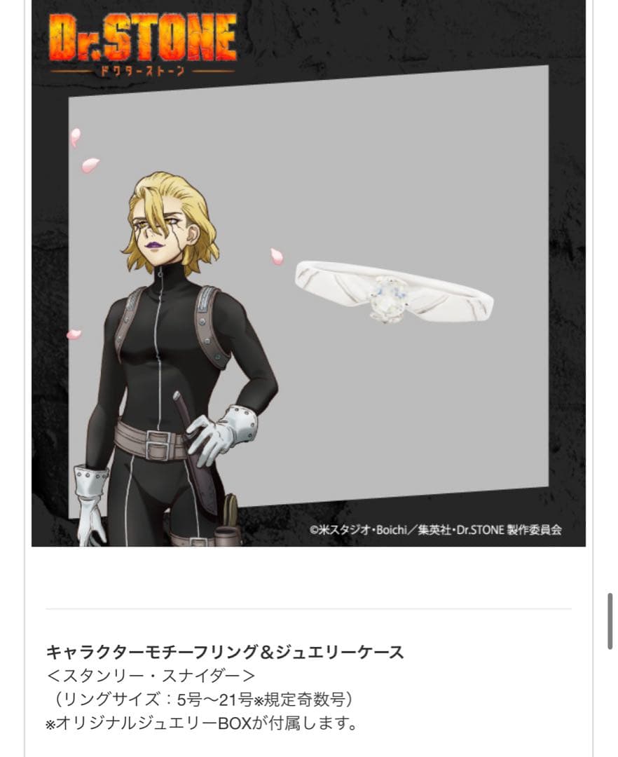 ドクスト スタンリー リング&ジュエリーケース - メルカリ