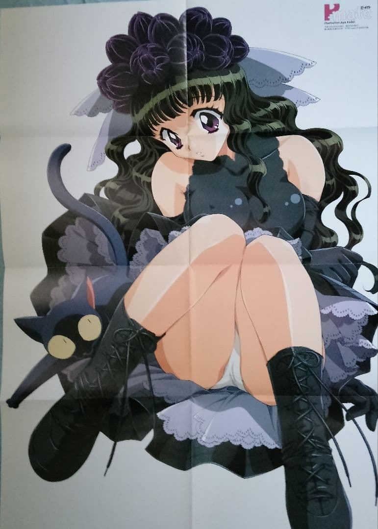 ピーメイト　2001年1月号〜12月号セット