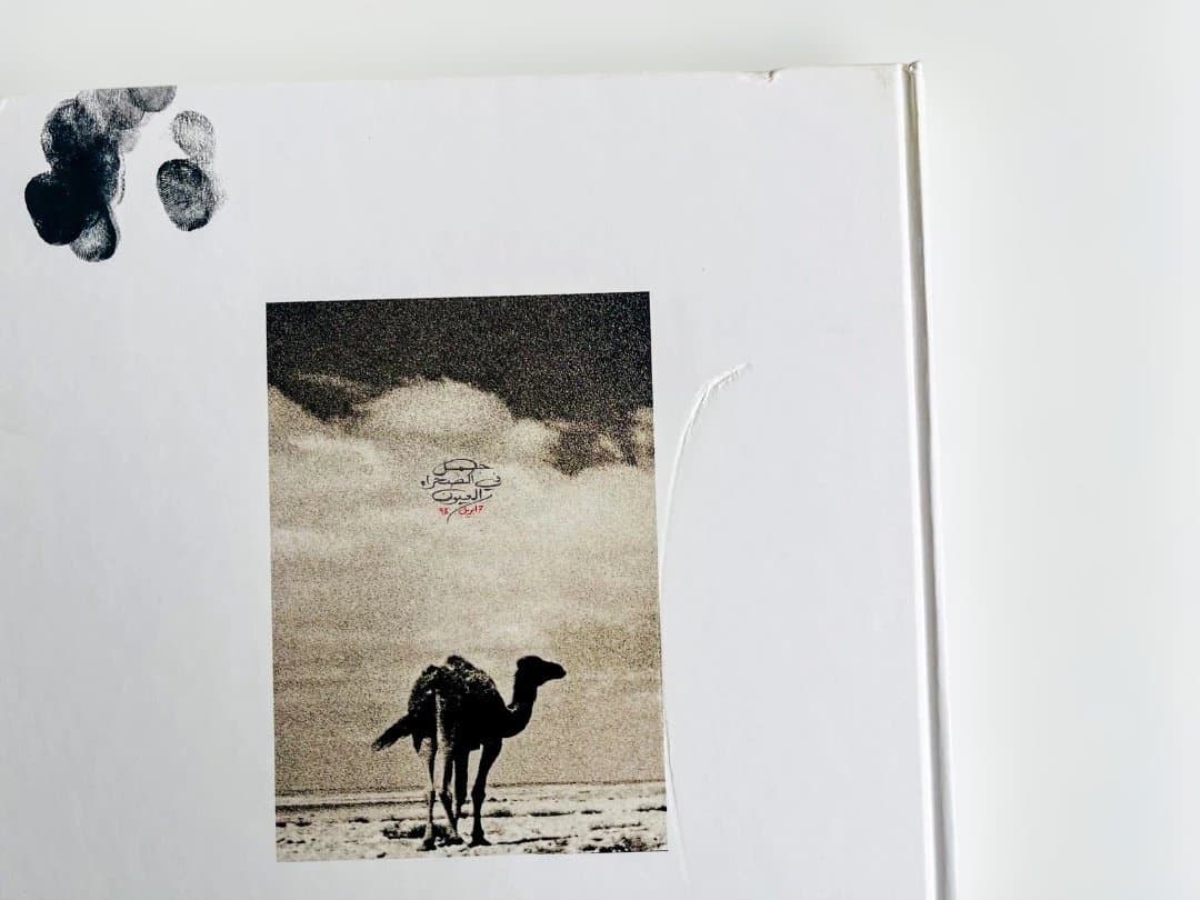 MAROC アルバート・ワトソン Albert Watson - メルカリ