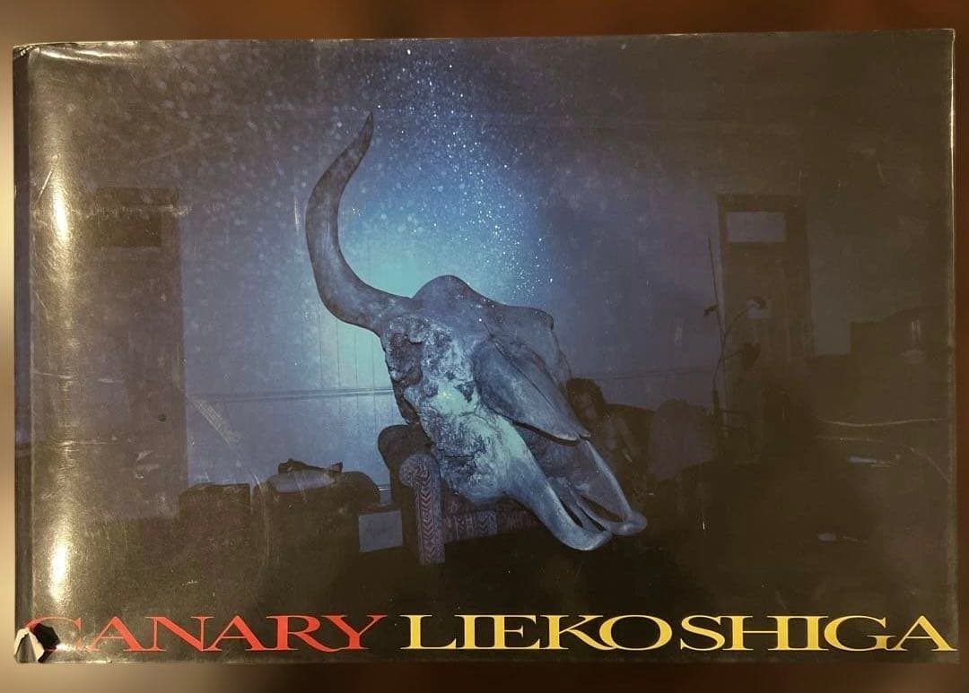 志賀理江子　Canary カナリア CANARY カナリア｜志賀理江子 LIEKO SHIGA