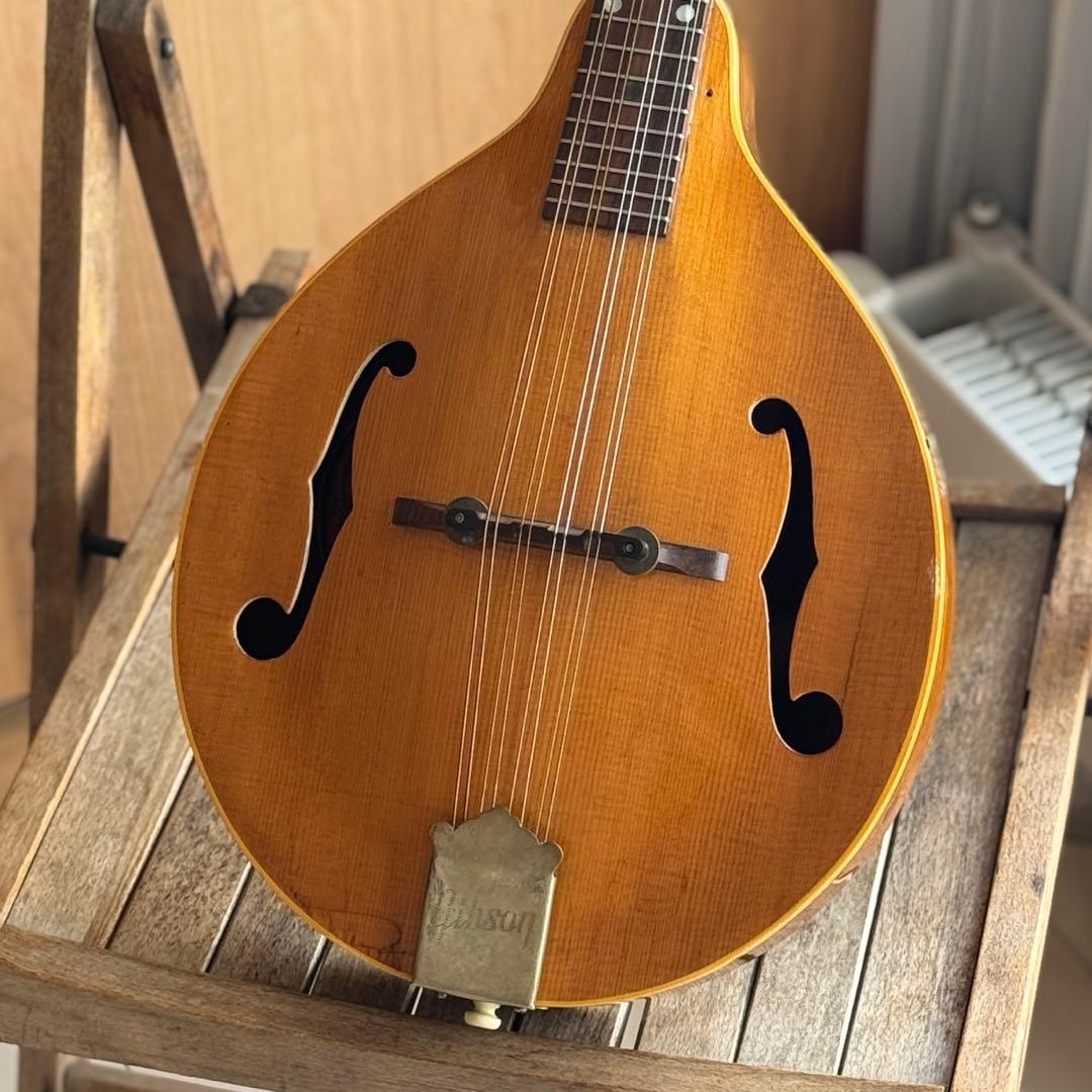 <超貴重特A>GibsonマンドリンA40-N 1940s ~1950s 超貴重特A>GibsonマンドリンA40-N 1940s ~1950s - メルカリ