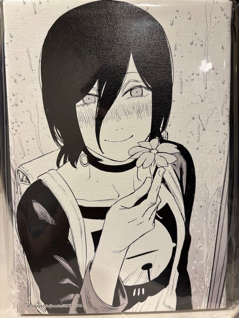 ローゼンメイデン 薔薇乙女 額装イラスト 額 500名限定？ レア