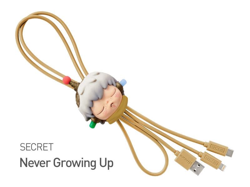 シークレット】HIRONO Never Growing Up ケーブル - メルカリ