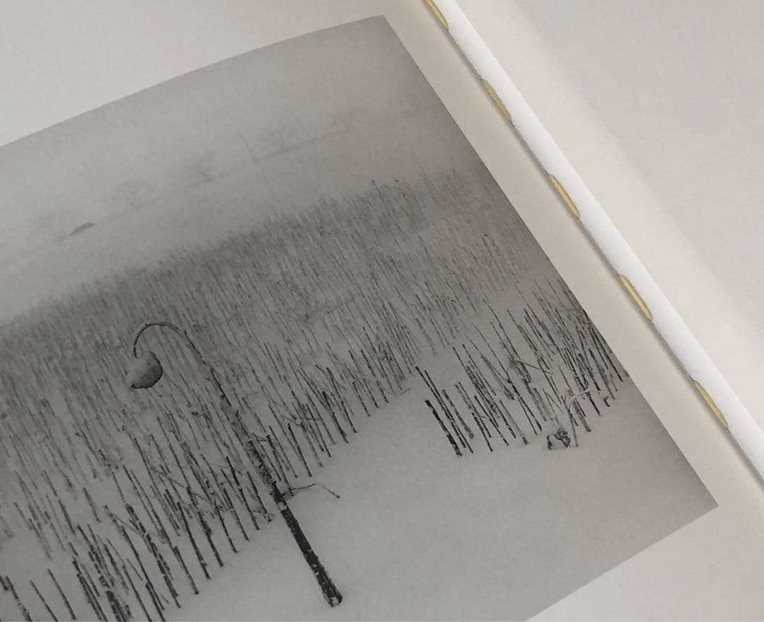 富谷昌子 Masako Tomiya 津軽 サイン入り 富谷昌子 帰途 Masako Tomiya