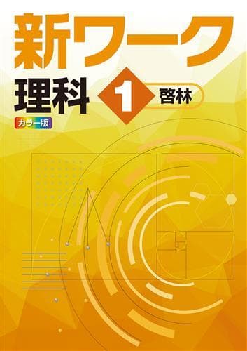 【うりうりきうりうり様　新品未使用５冊】新ワーク 改定最新版