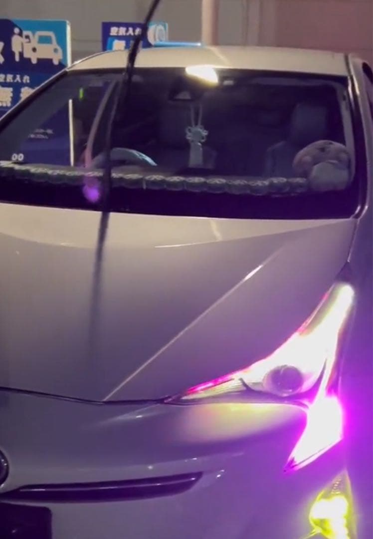 50プリウス ウインカーポジション パープル ピンク ポン付け可能