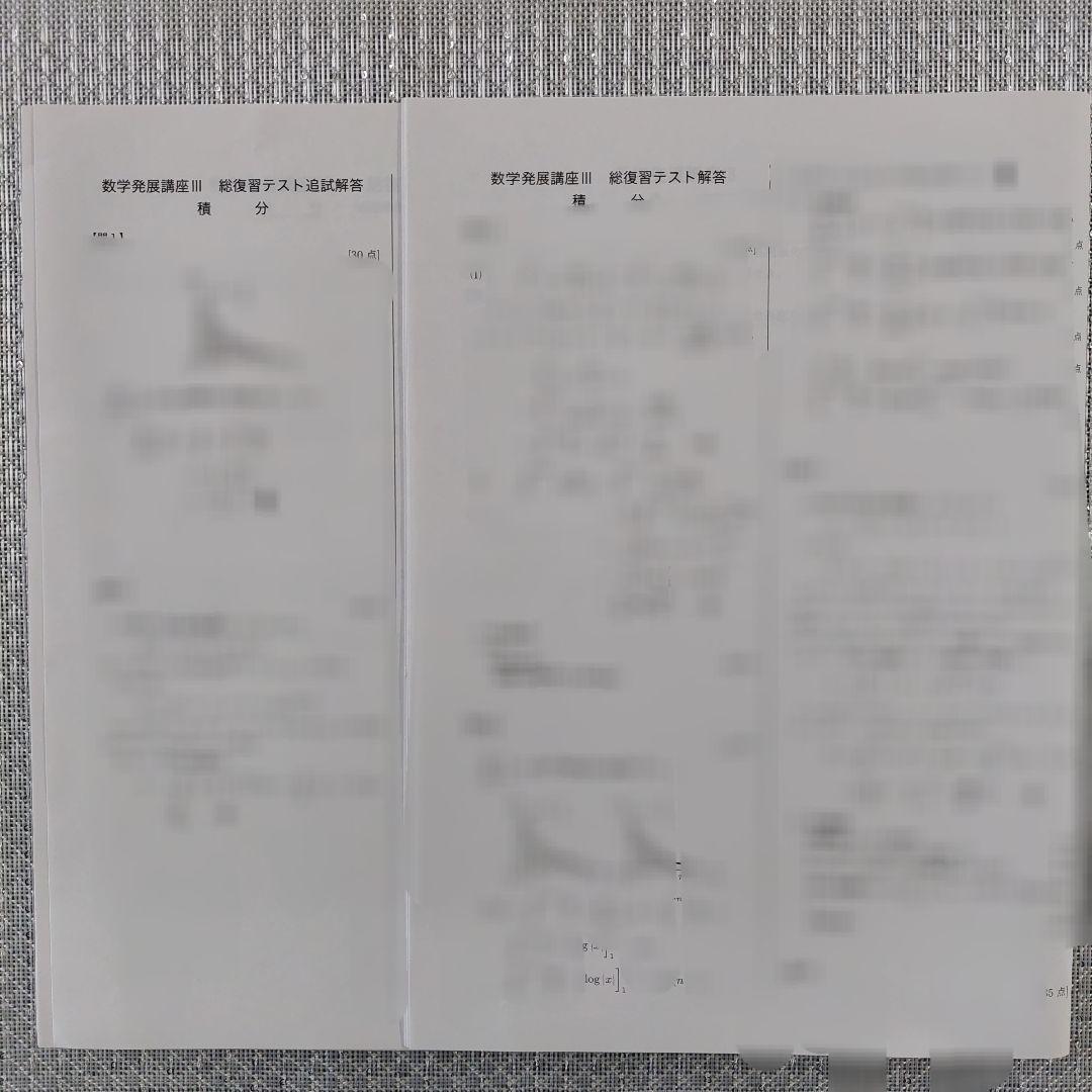 鉄緑会 高2数Ⅲ 数学発展講座Ⅲ 積分 総復習テスト 追試 セット