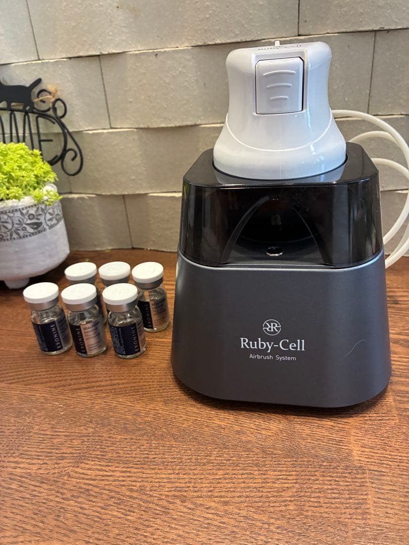 値下げ＆プレゼント❗️Ruby-Cell エアブラシシステム　エクソナイン6個付き 2026年最新】ルビーセル エアブラシの人気アイテム - メルカリ