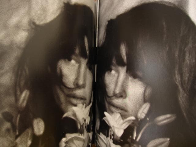 The Birds Didn't Die over the Winter - アート・デザイン・音楽卸売 通販