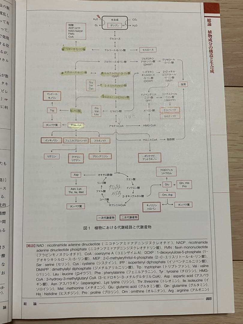 薬学部 教科書 参考書 1冊500円〜 - メルカリ