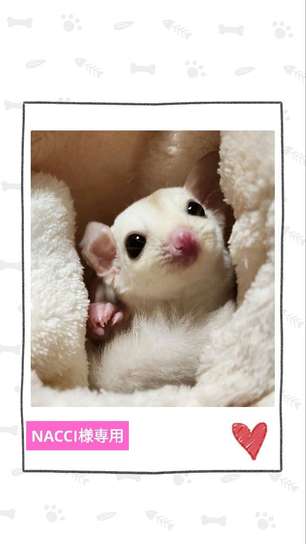 小動物向】セラミックヒーター 2個セット