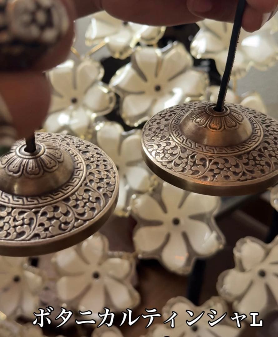 新商品！ボタニカルティンシャＬサイズ ChampagneRing Flight-L Dimple Z シャンパンリング フライトL