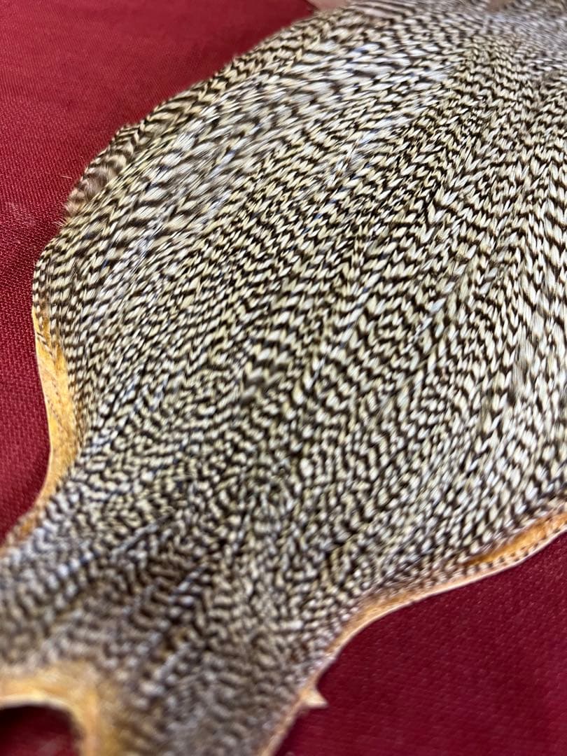 METZ グリズリー ハックルケープ 未使用。 ミッジから、ドライ