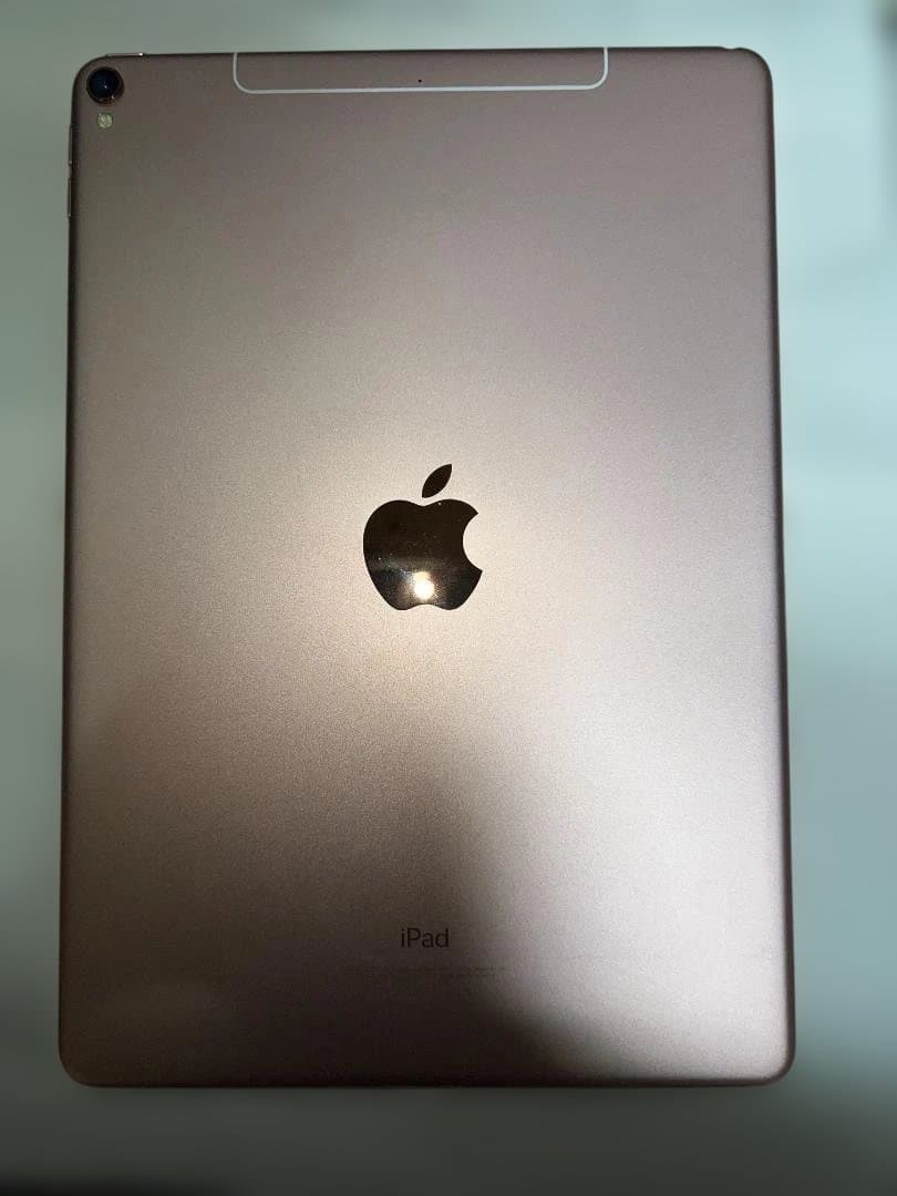Apple iPad Pro (10.5インチ) 本体 ローズゴールド Amazon.com : Apple iPad Pro 10.5-Inch 256GB Wi-Fi + Cellular Rose