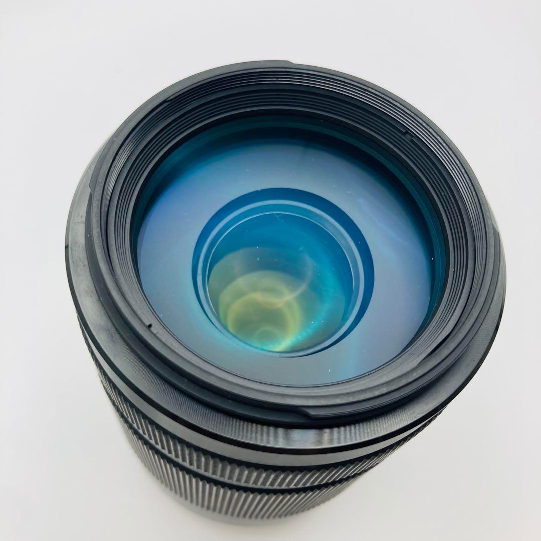 SONY DT 55-300mm F4.5-5.6 Zoom Lens ズーム