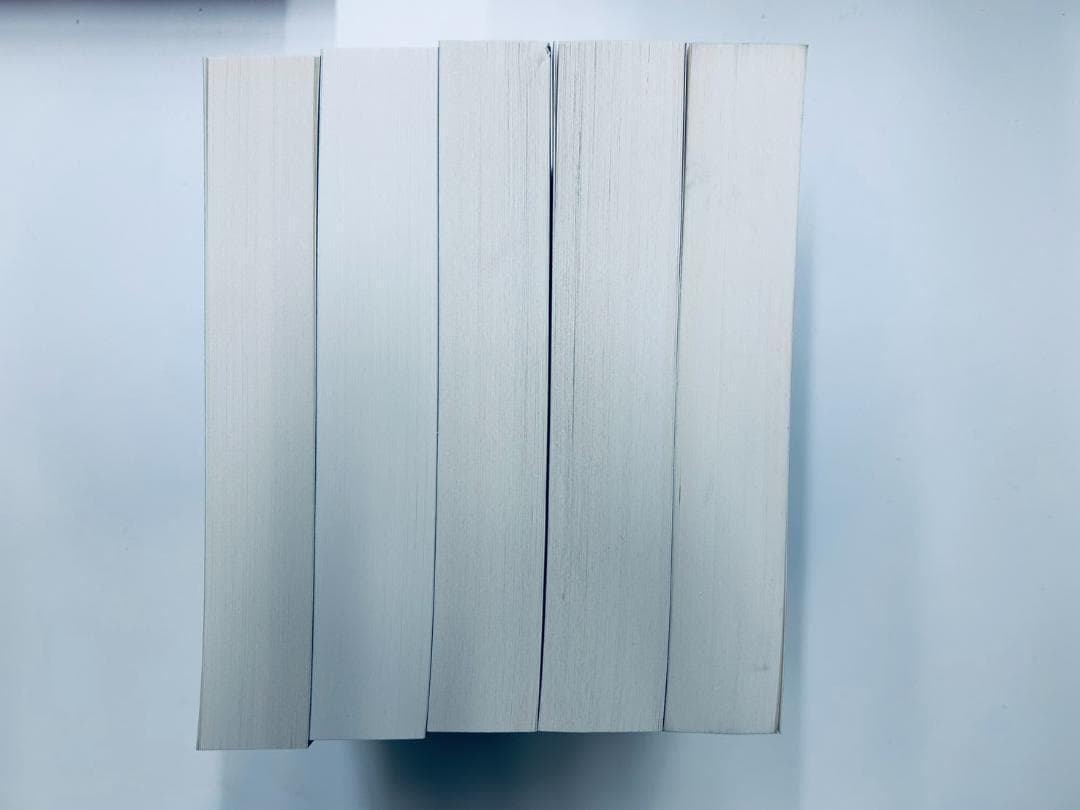 アン・チェーホフ　《Werke》 ドイツ語版　5冊セット　スリップケース付