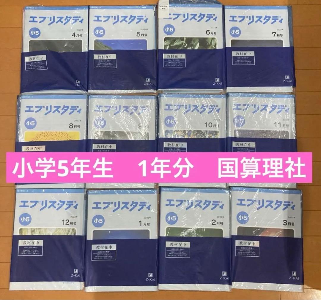 Z会 小5 エブリスタディ 4教科 1年分 国算理社 - メルカリ