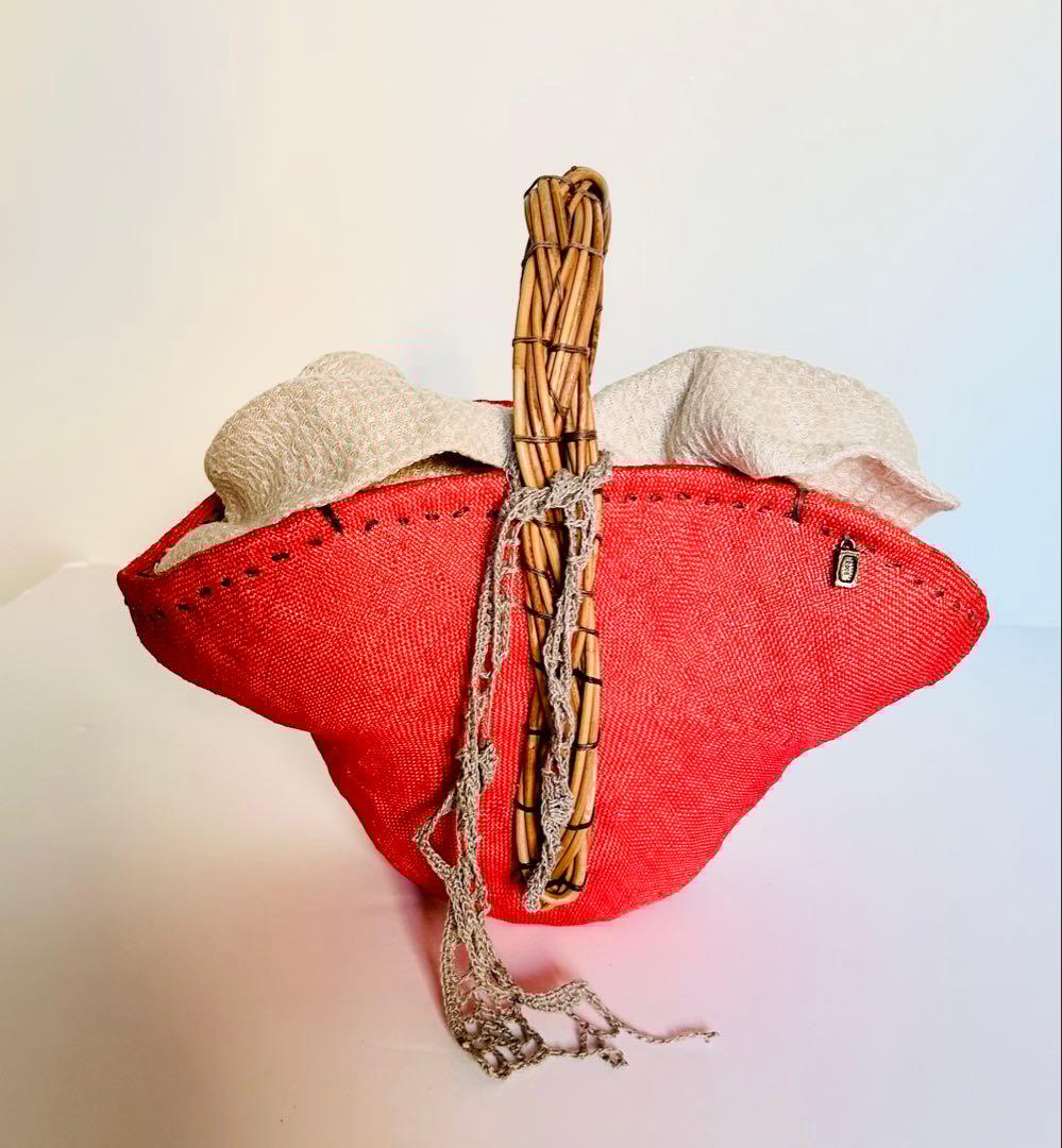 美品【エバゴスebagos】カゴバッグ赤 ebagos サブバッグ・カゴケース 2L [43533] – CREER