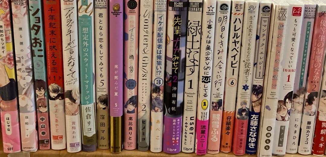 ＢＬコミック ④ バラ可