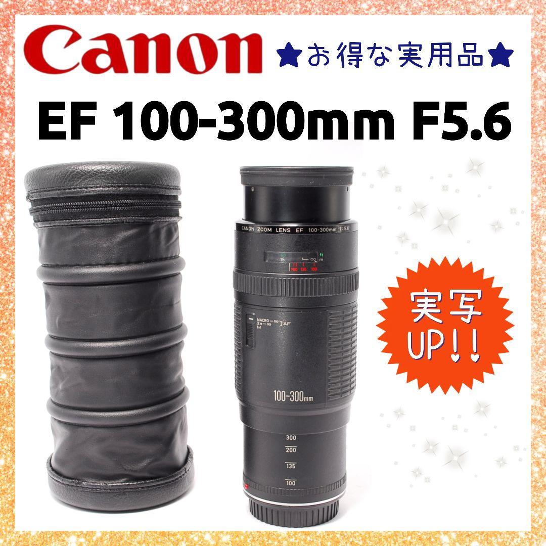 ❤即購入1000円OFF❤ キャノン EF 100-300mm F5.6 EF100-300mm F5.6L - キヤノンカメラミュージアム