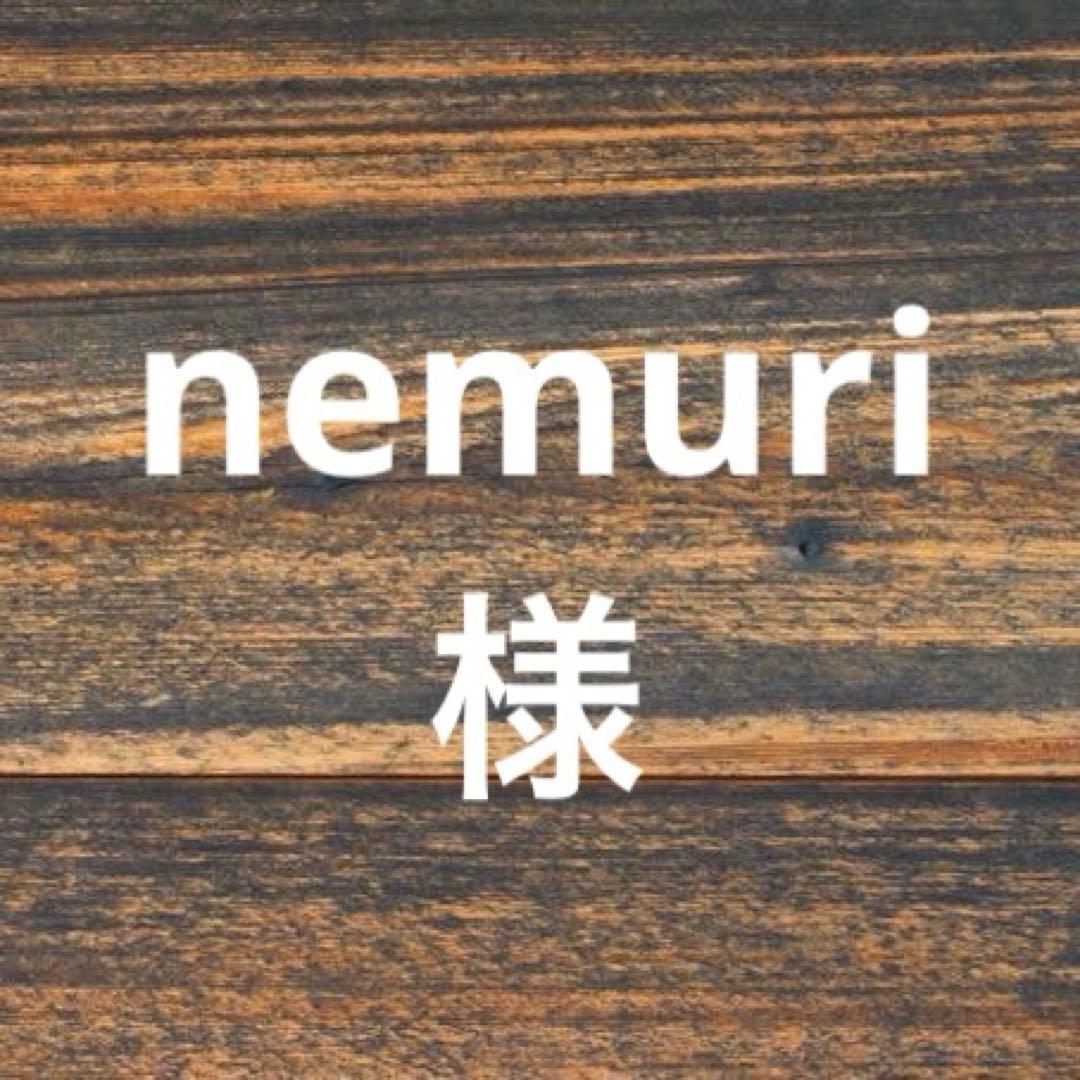 専用　2/15 Audi R8 Gen 2 (15-) Nitron elec-TRON R1 Kit