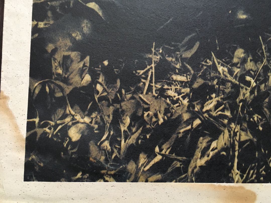 期間限定値下げ！ ★希少★ ミスチル『深海』販促用大判ポスター 美品