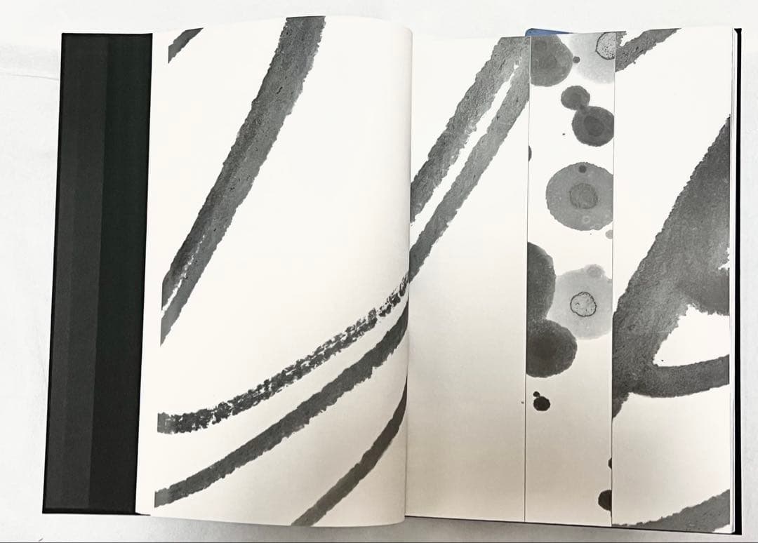 エディションナンバー入り】長野オリ書道家 増永広春氏作品集 走墨