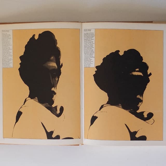 ミルトン・ グレイザー作品集+The Push Pin Style 2冊セット - メルカリ