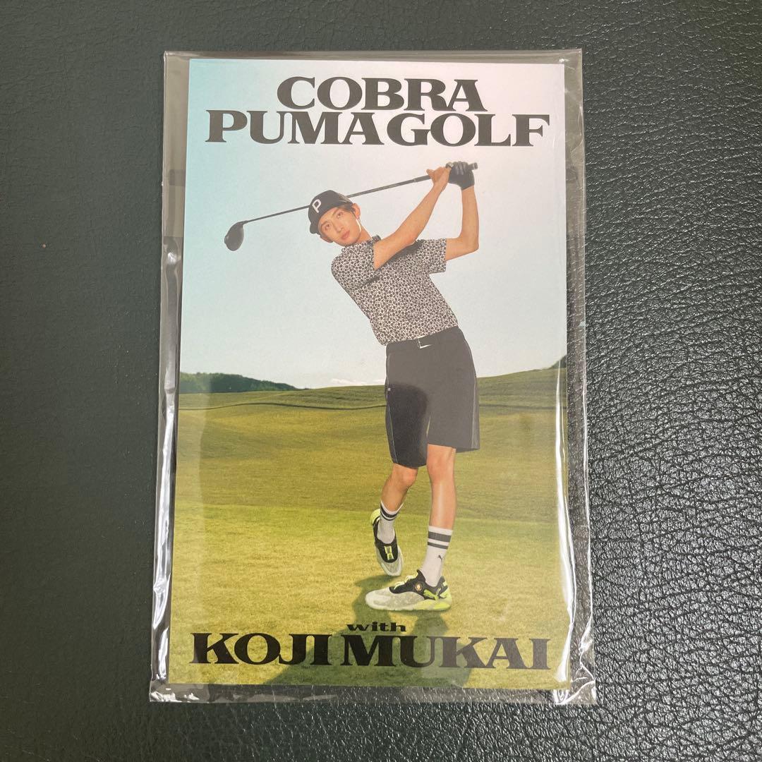 専用】SnowMan 向井康二CobraPumaGolfコラボ ゴルフマーカー - メルカリ