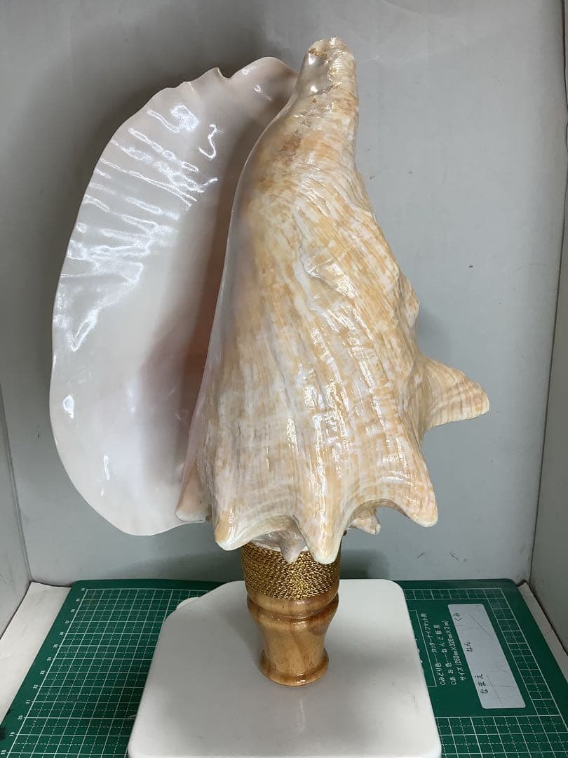 ヤフメリ41・ピンクガイ・法螺貝・山伏・修験者・戦国武将・金峯山・羽黒山・熊除笛 ヤフメリ61・法螺貝・山伏・修験者・戦国武将・豊臣兄弟・金峯山・羽黒