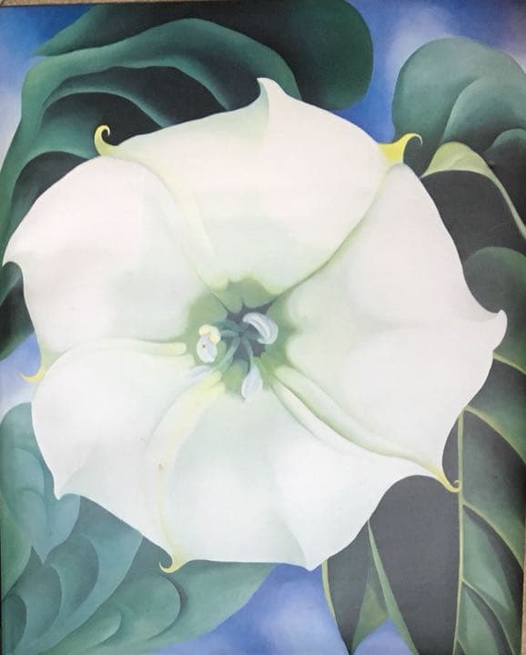 ジョージア・オキーフ画集 花 : オキーフ画集(ジョージア・オキーフ 画 ; ニコラス・キャラウェイ