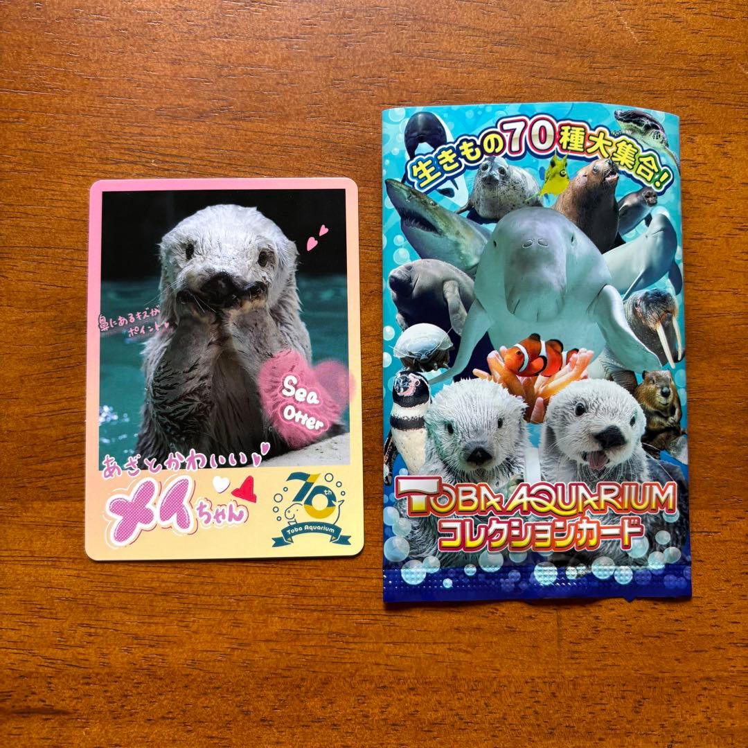 鳥羽水族館 コレクションカード メイ - メルカリ