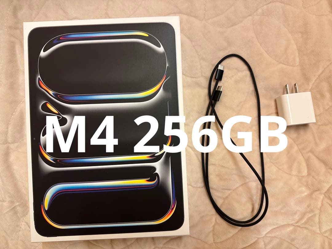 11インチ iPad Pro M4 256GB Wi-Fi Apple iPad Pro 11