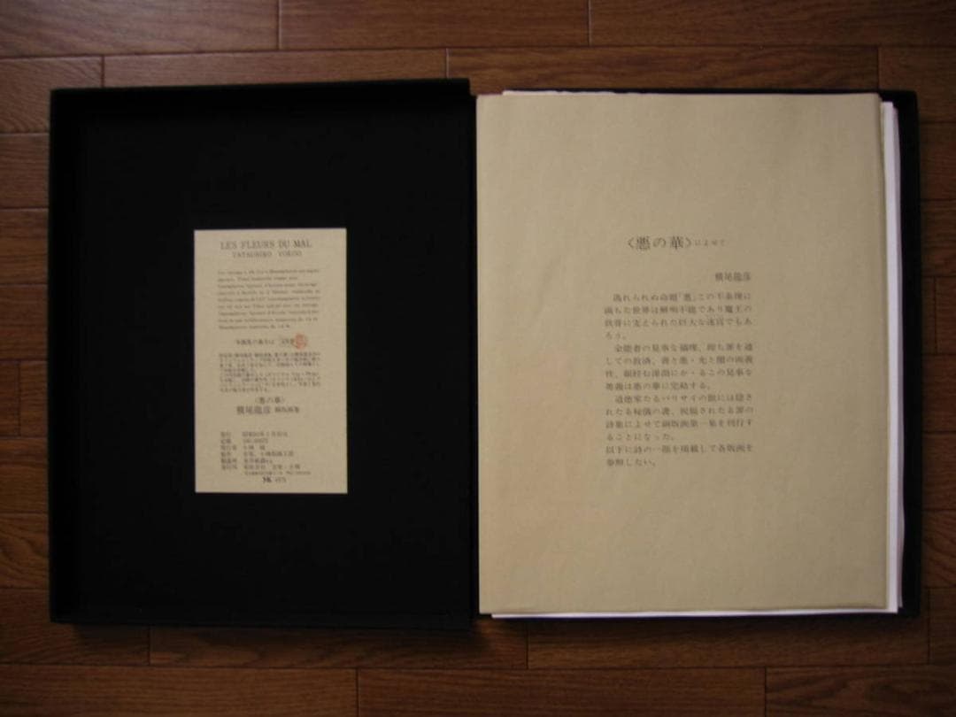 横尾龍彦 銅版画集 悪の華 限定20部 オリジナルエッチング 10葉 E.A.版