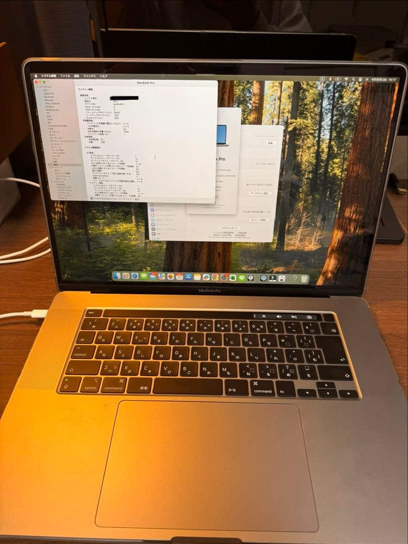 極希少！充放電33回 MacBook Pro16 i9 32GB Sequoia - メルカリ