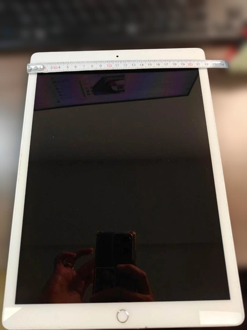 美*雪様 ジャンク品　Apple iPad 12.9インチ シルバー 中古】iPad Pro 12.9インチ 第3世代 256GB シルバー MTJ62J／A SIM