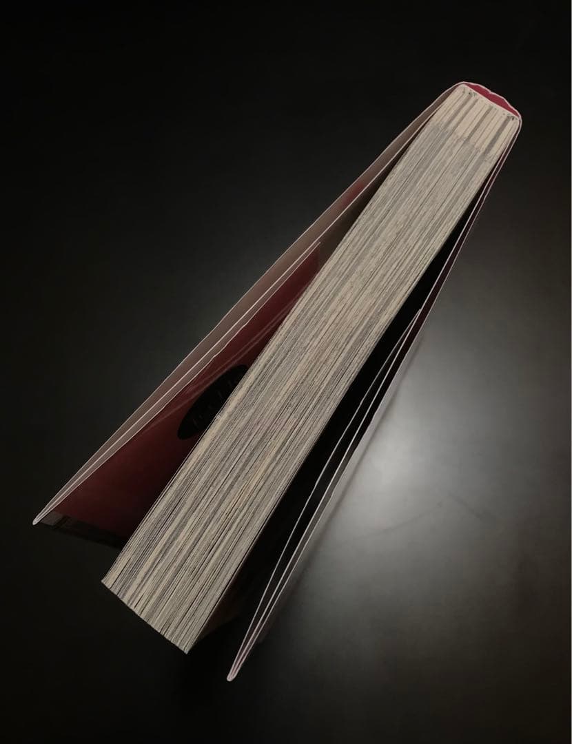 淫らなΩは恋をしない　特典　限定ペーパー