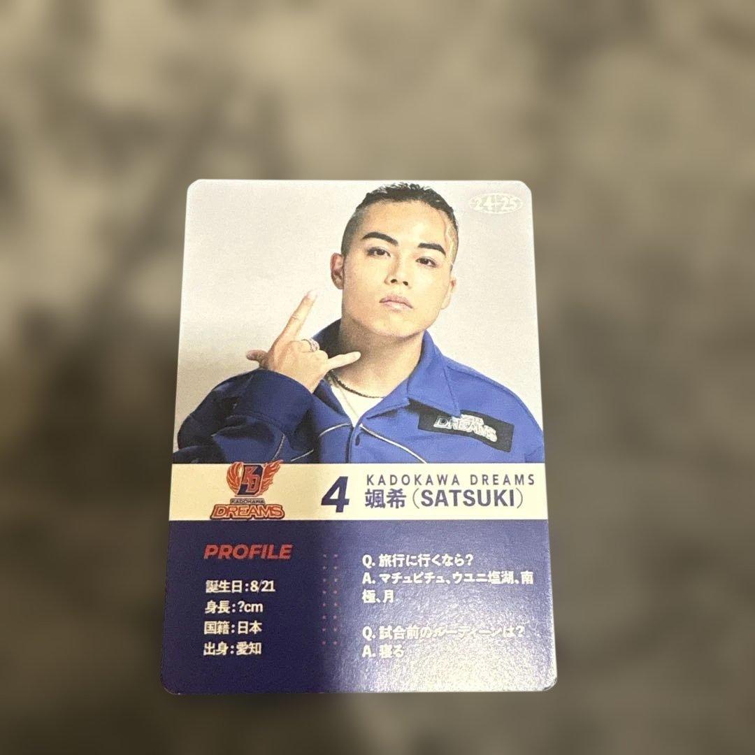 Dリーグ KADOKAWA DREAMS 颯希 トレカ キラ - メルカリ