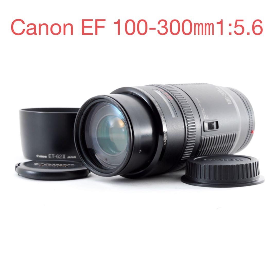 実用美品/キャノン望遠レンズ/Canon EF 100-300mm 1:5.6 EF100-300mm f/5.6L - Canon Camera Museum