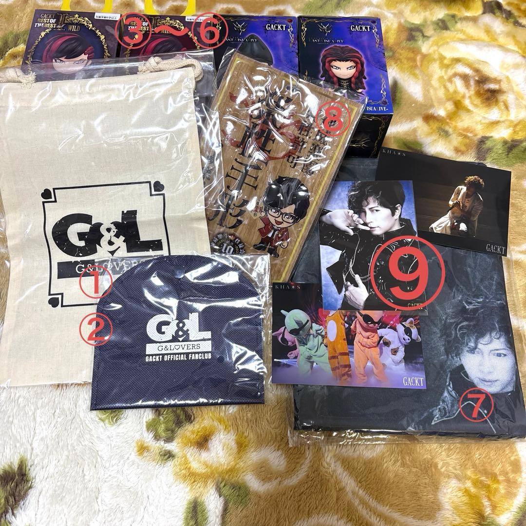 値下げ】バラ売り可◎GACKT グッズ 9点セット 新品未使用美品 - メルカリ