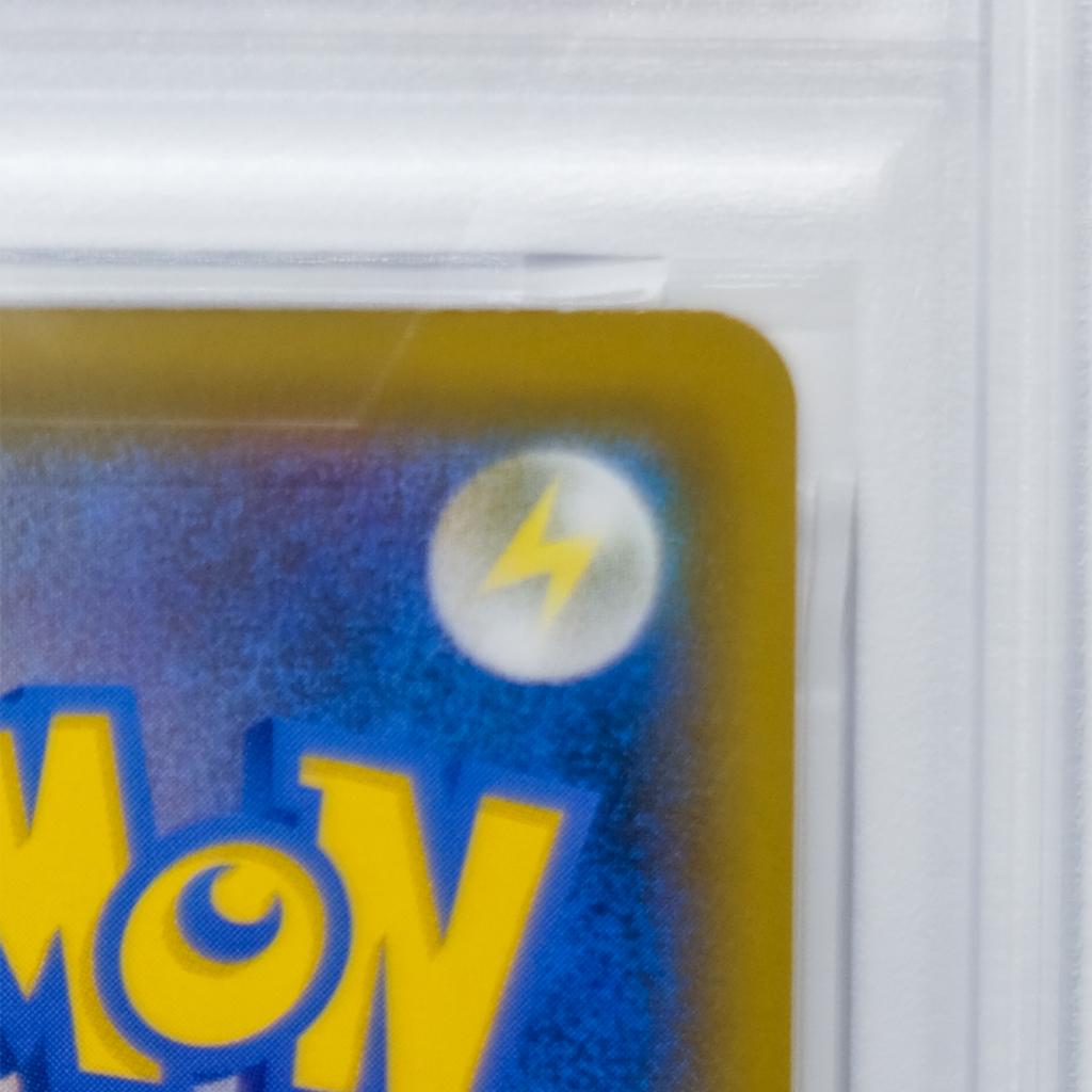 傘 エリカのおもてなし《PSA10》