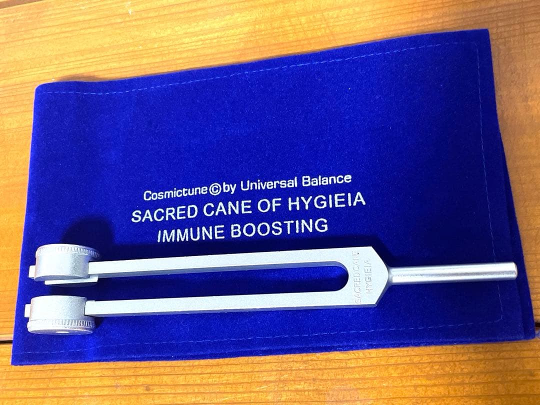 増川いづみ 音叉 ヒュゲイヤの杖 へヴィーフォーク - メルカリ