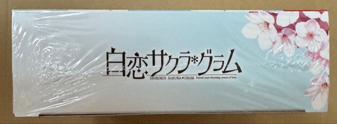 白恋 サクラ グラム