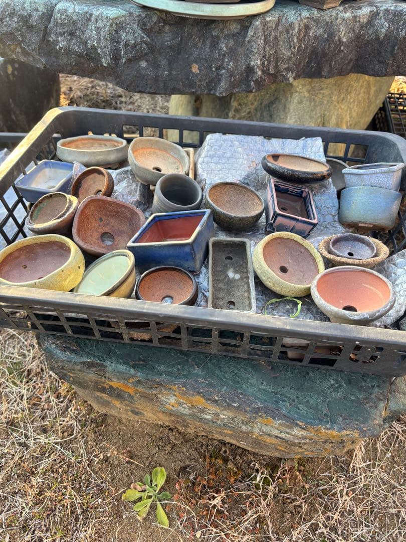 陶器製盆栽鉢セット多数(大小200点以上) ※引き取り限定 まとめ売り