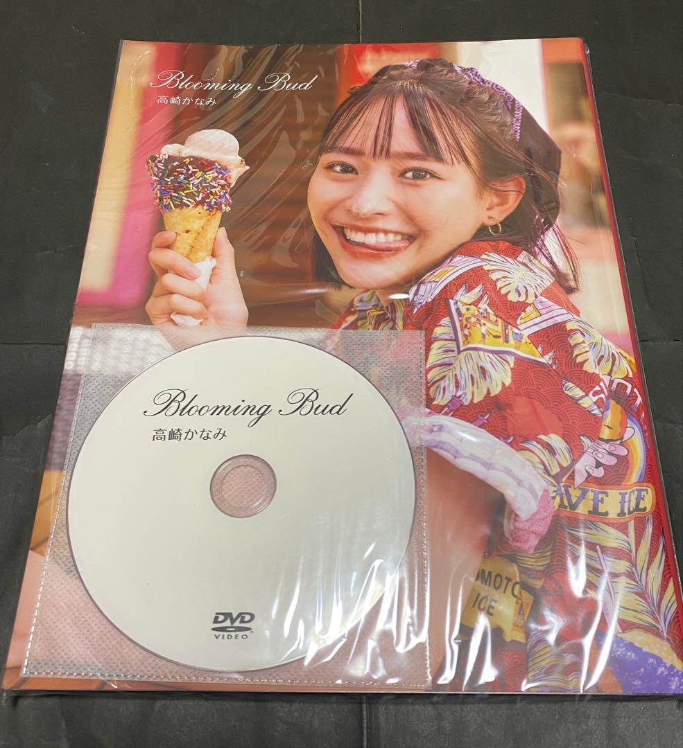 高崎かなみ　写真集　まとめて