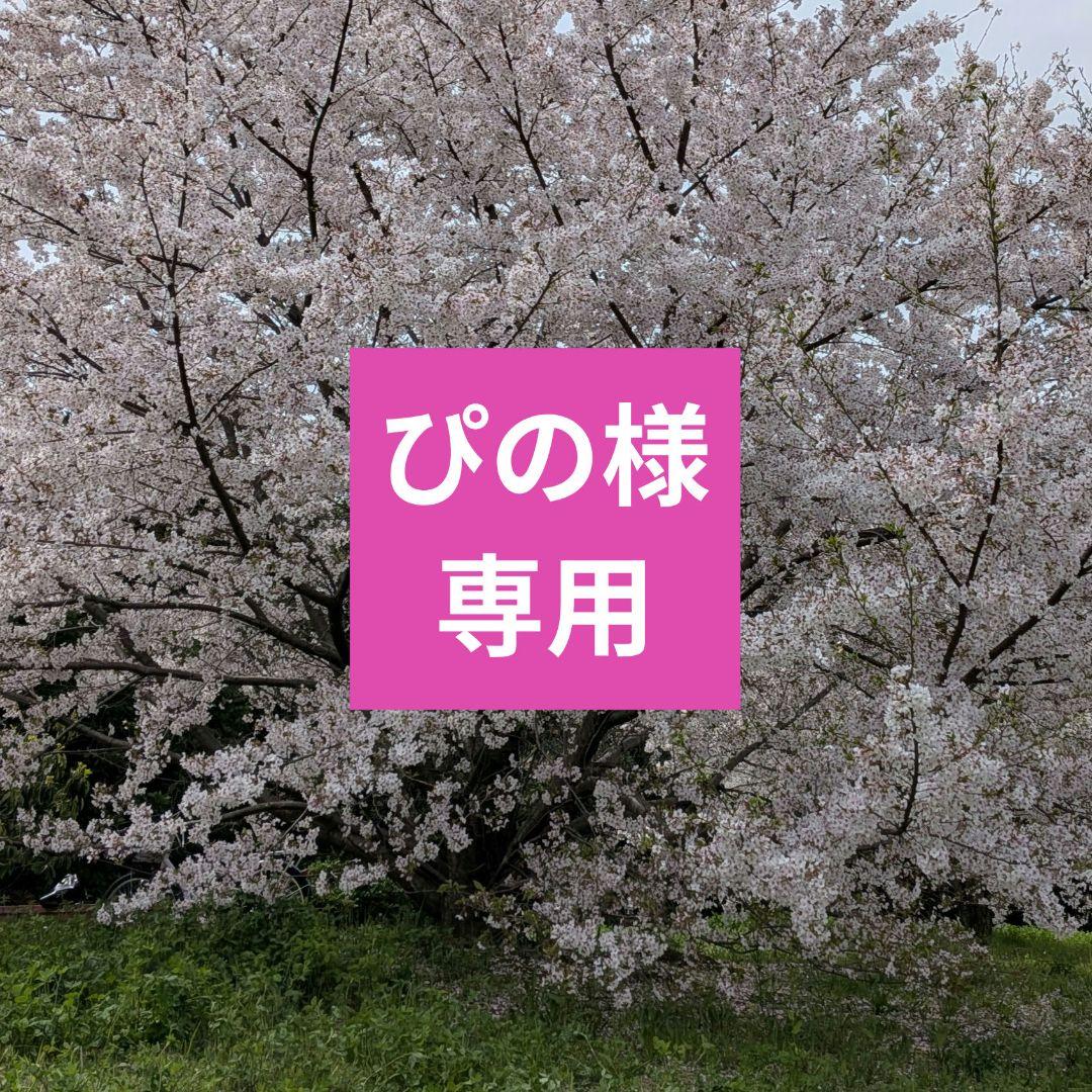 フェアリーテイル 単行本 58 59 63 第1刷 - メルカリ